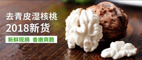 EPLAN问题汇总-v18.35