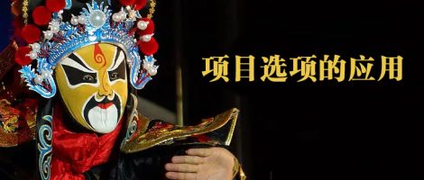 EPLAN项目选项的应用